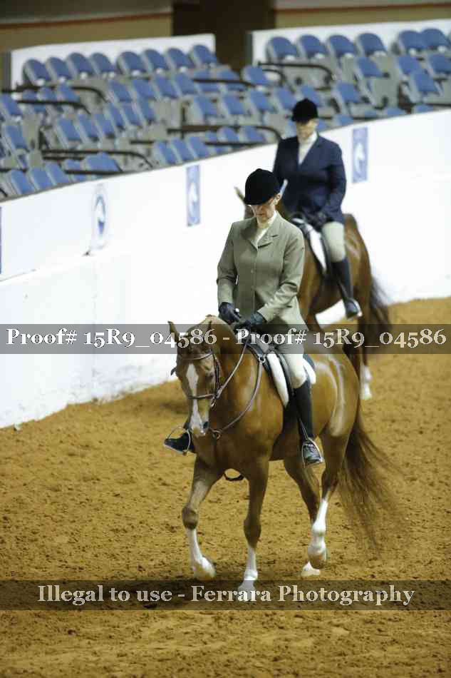 Proof 15R9_04586