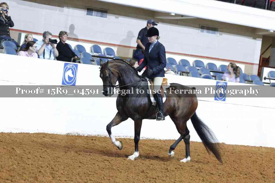 Proof 15R9_04591