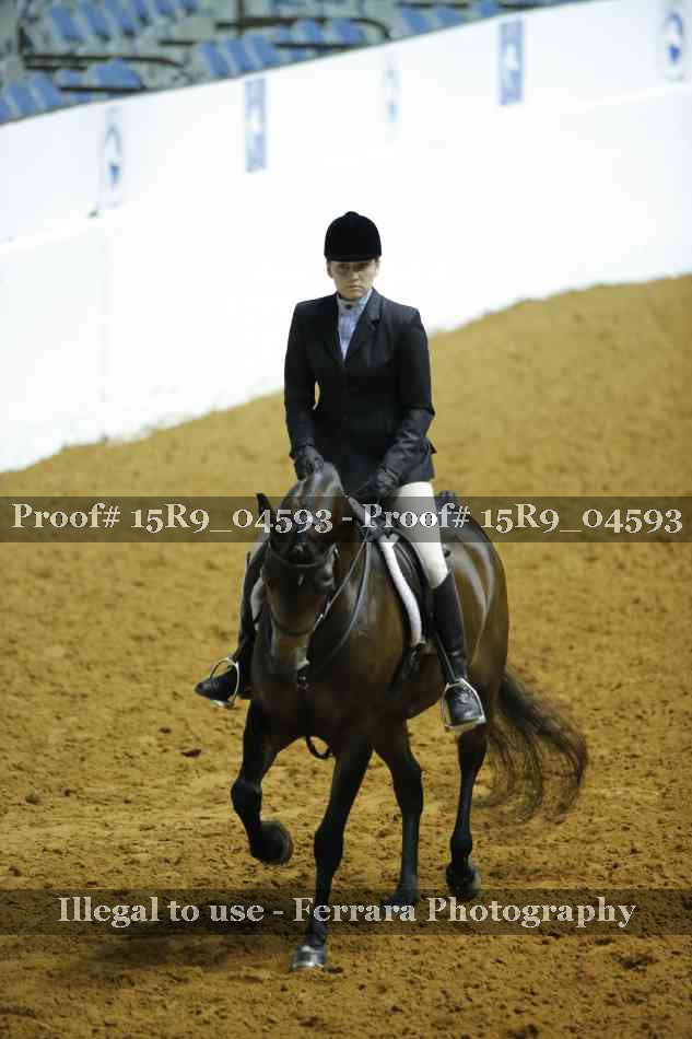 Proof 15R9_04593