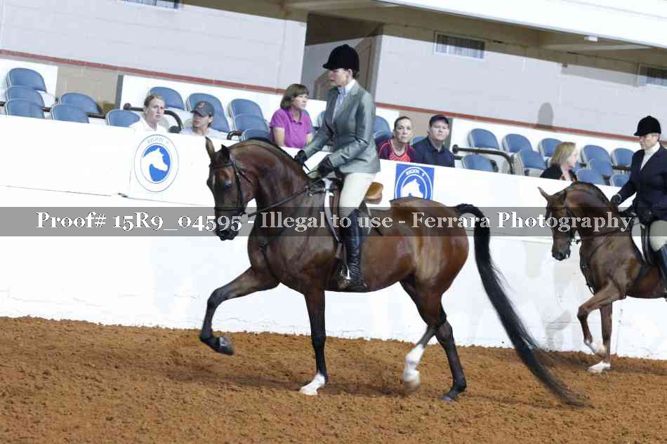 Proof 15R9_04595