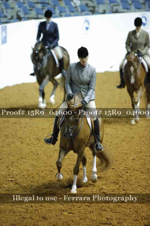 Proof 15R9_04600