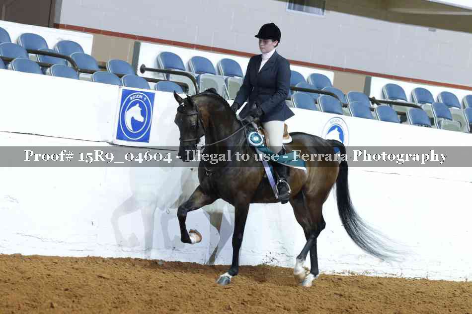 Proof 15R9_04604