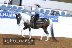 15R9_04656 proof