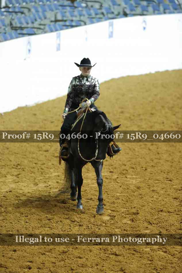 Proof 15R9_04660