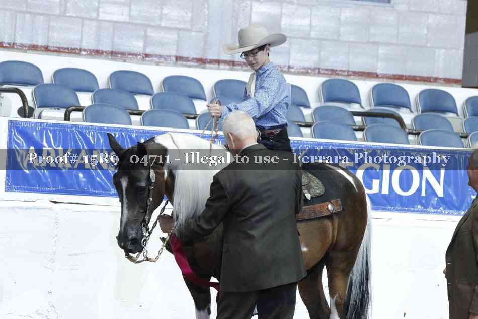 Proof 15R9_04711