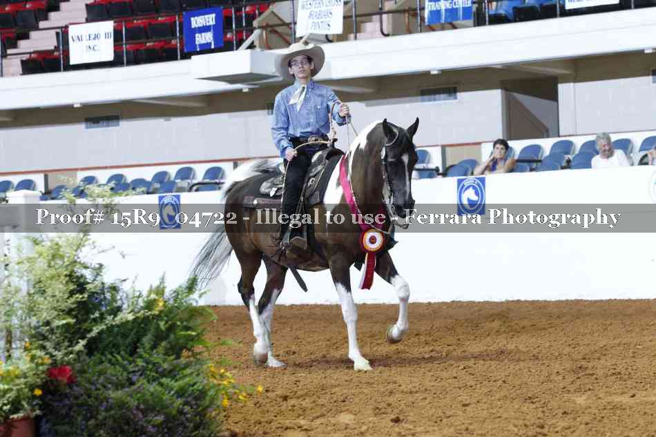 Proof 15R9_04722