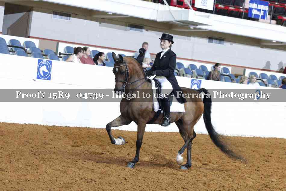 Proof 15R9_04739