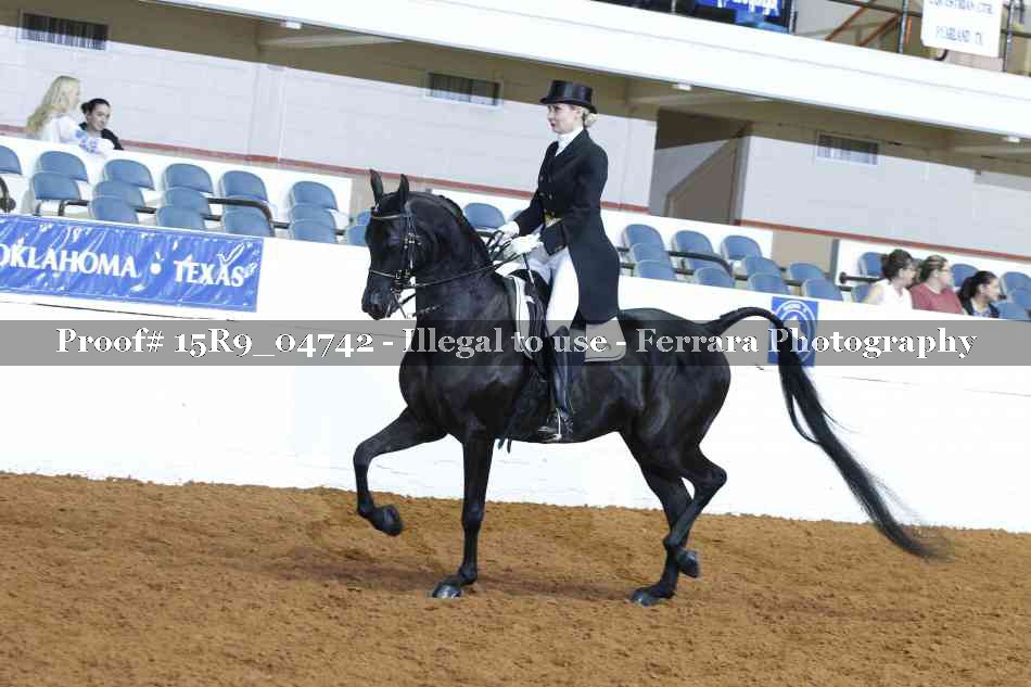 Proof 15R9_04742