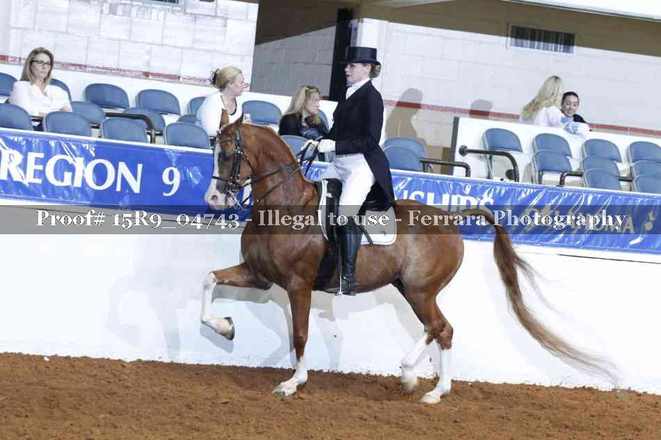 Proof 15R9_04743