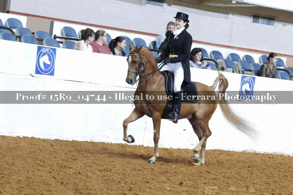 Proof 15R9_04744