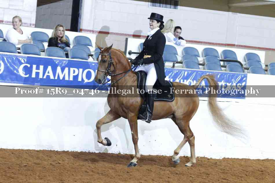 Proof 15R9_04746