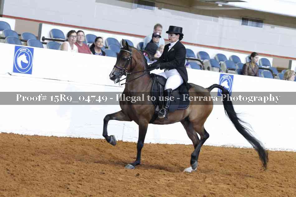 Proof 15R9_04749