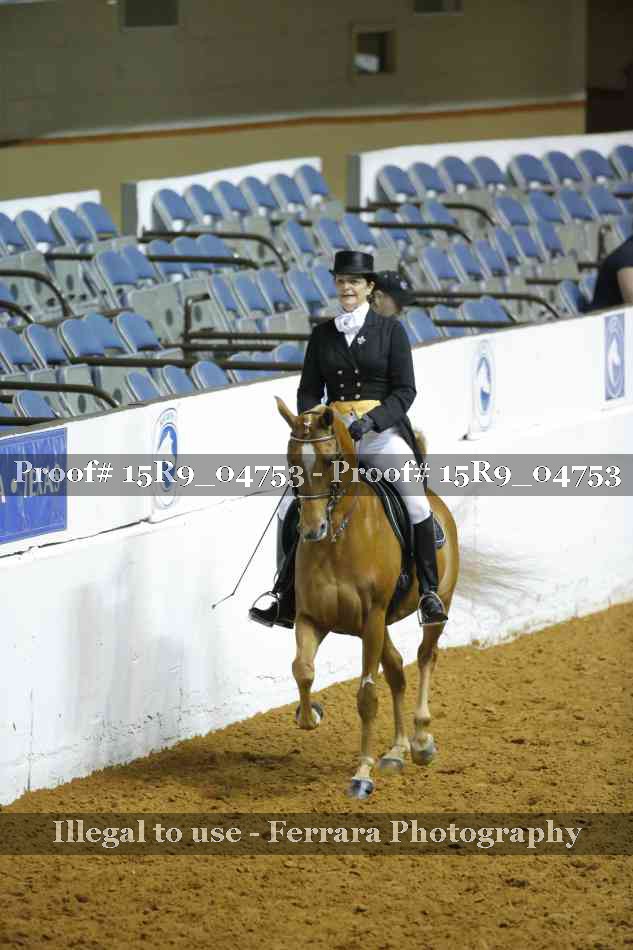 Proof 15R9_04753