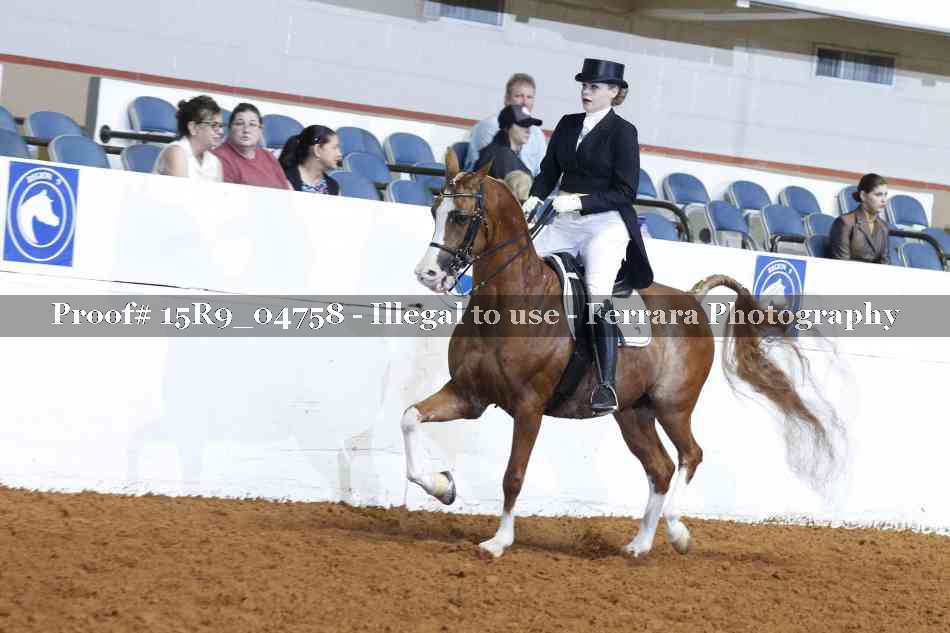 Proof 15R9_04758