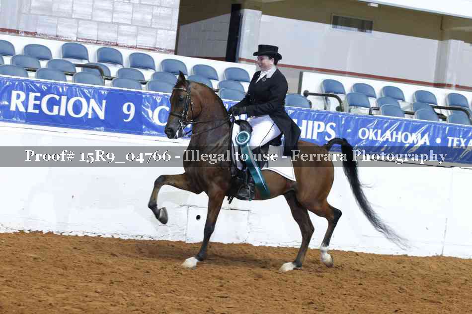 Proof 15R9_04766