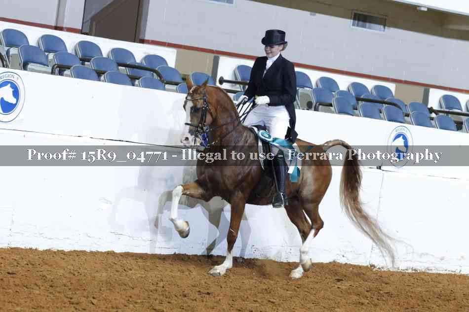Proof 15R9_04771