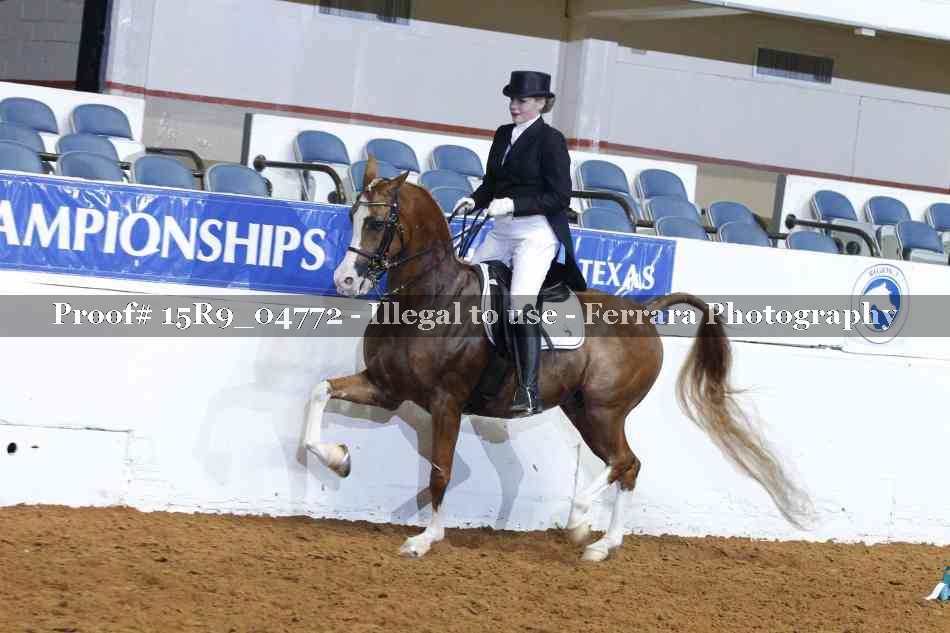Proof 15R9_04772