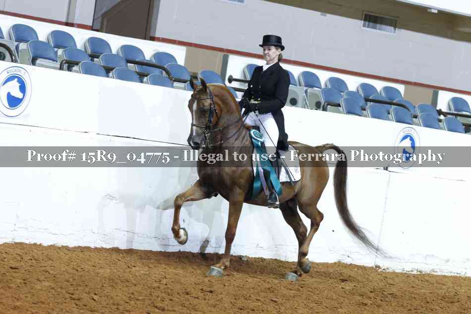 Proof 15R9_04775