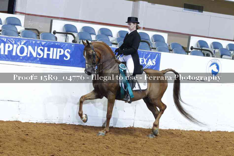 Proof 15R9_04776