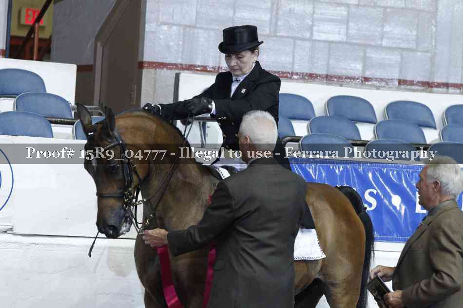 Proof 15R9_04777