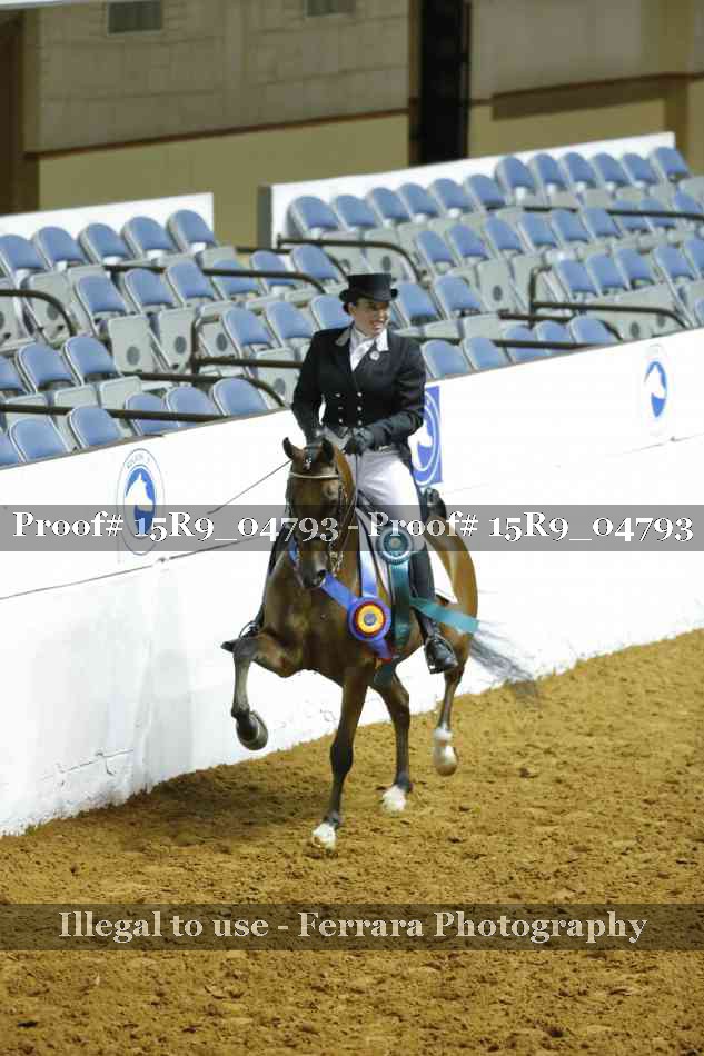 Proof 15R9_04793