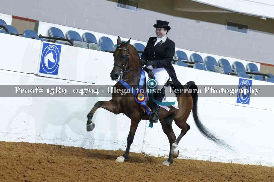 Proof 15R9_04794