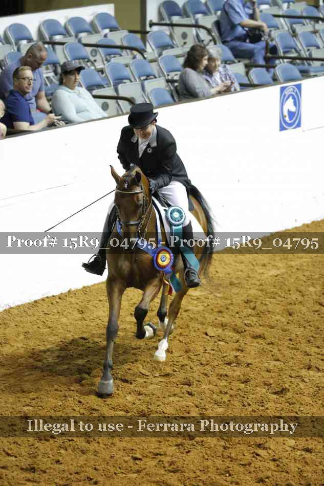 Proof 15R9_04795