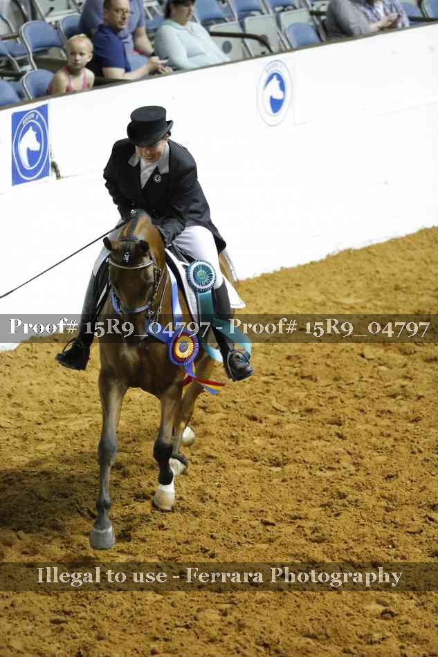 Proof 15R9_04797