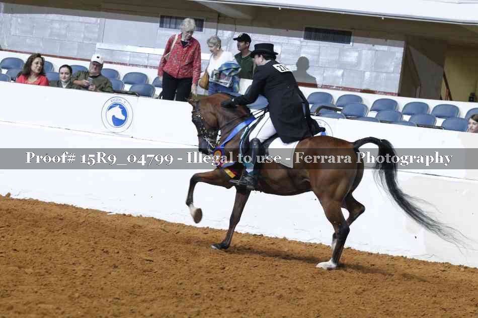 Proof 15R9_04799