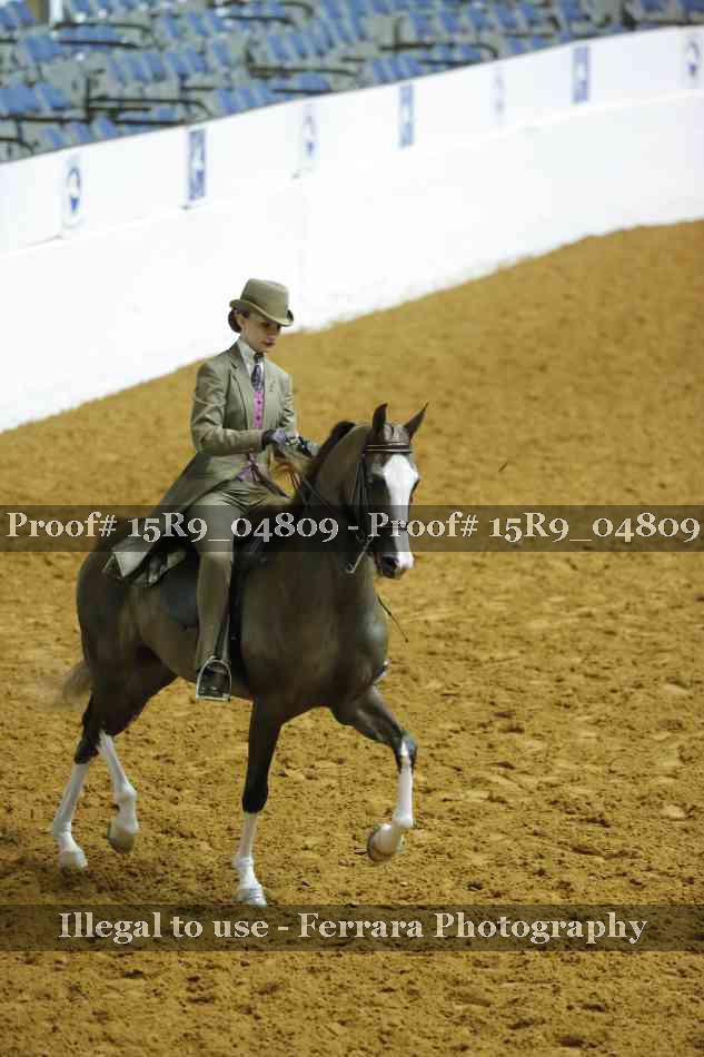Proof 15R9_04809