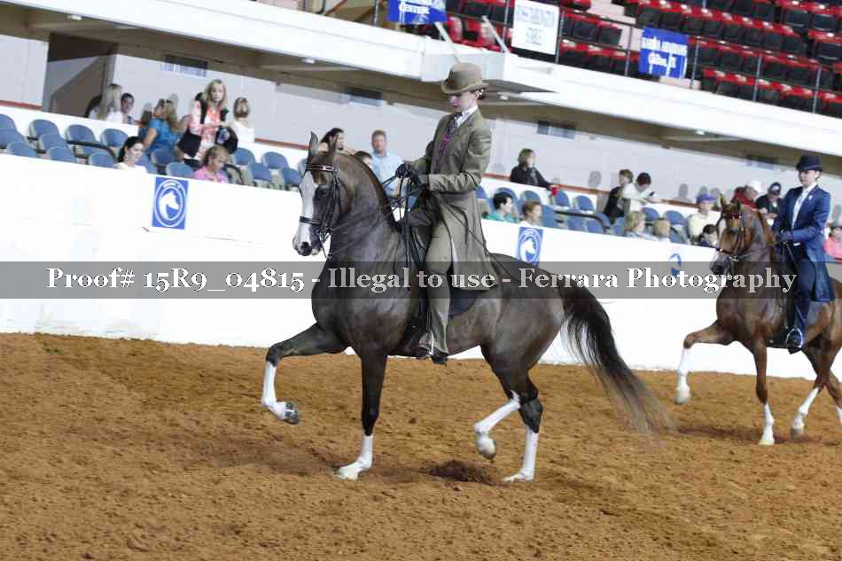 Proof 15R9_04815