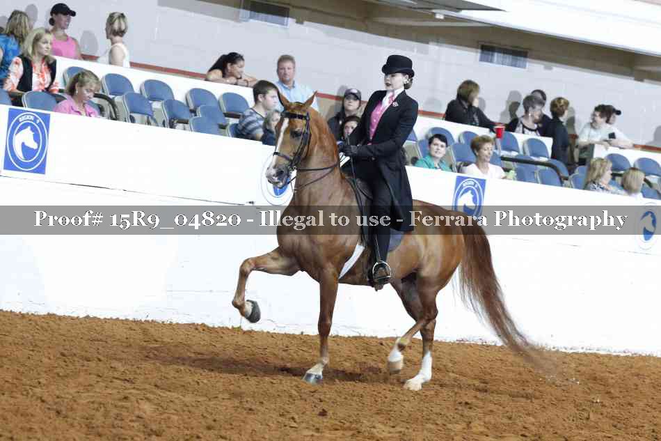 Proof 15R9_04820