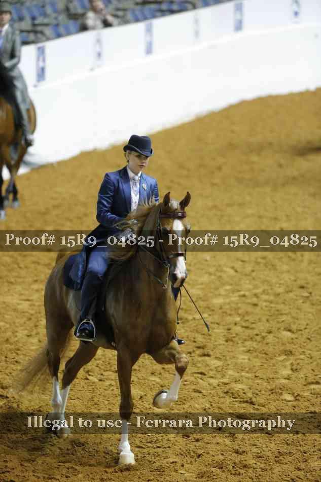 Proof 15R9_04825