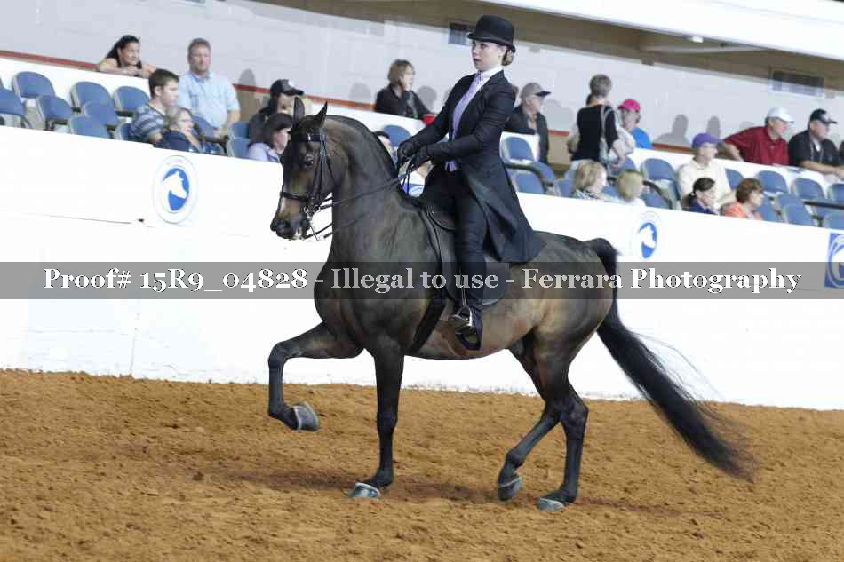 Proof 15R9_04828