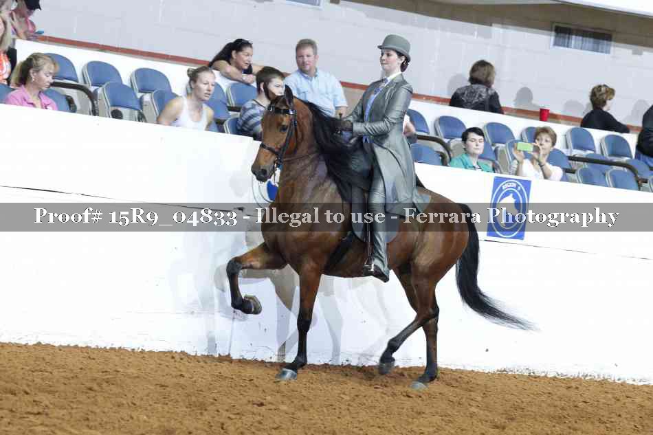 Proof 15R9_04833