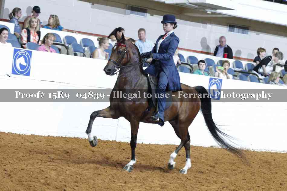 Proof 15R9_04839