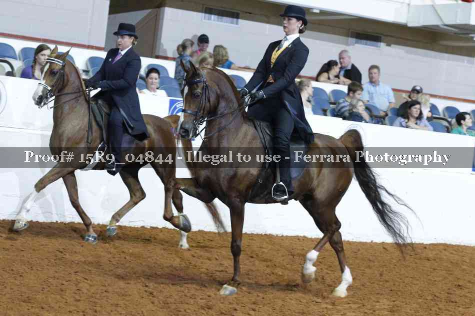 Proof 15R9_04844