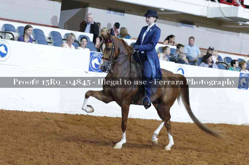 Proof 15R9_04845