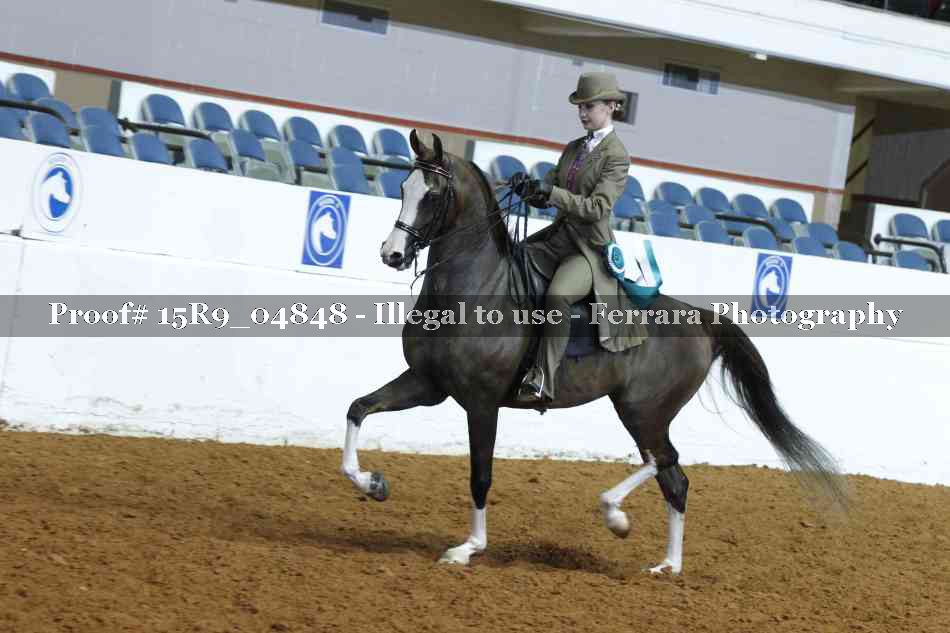 Proof 15R9_04848