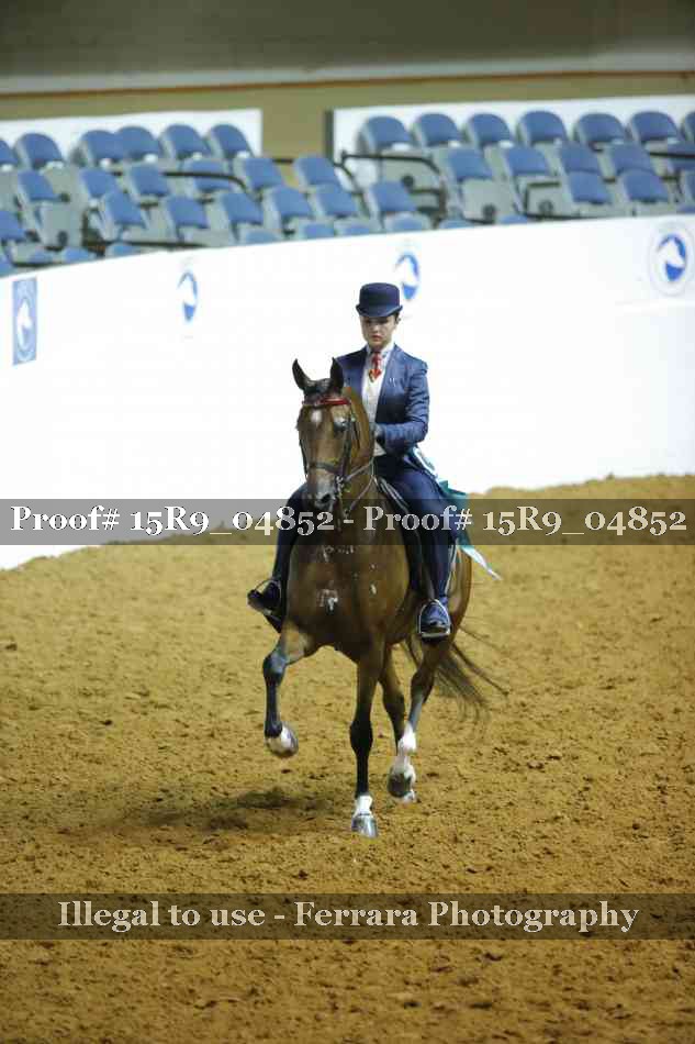 Proof 15R9_04852