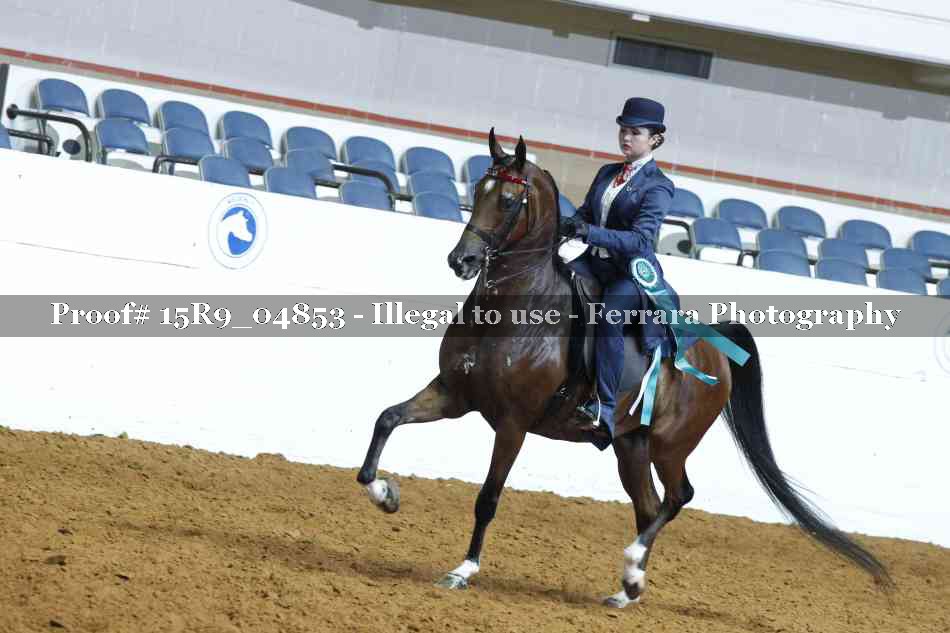 Proof 15R9_04853