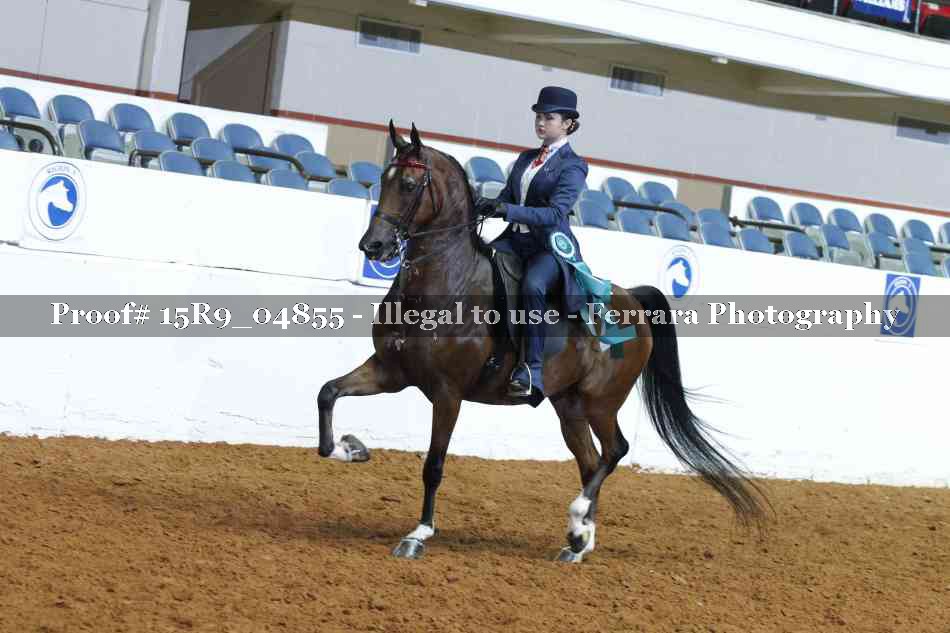 Proof 15R9_04855