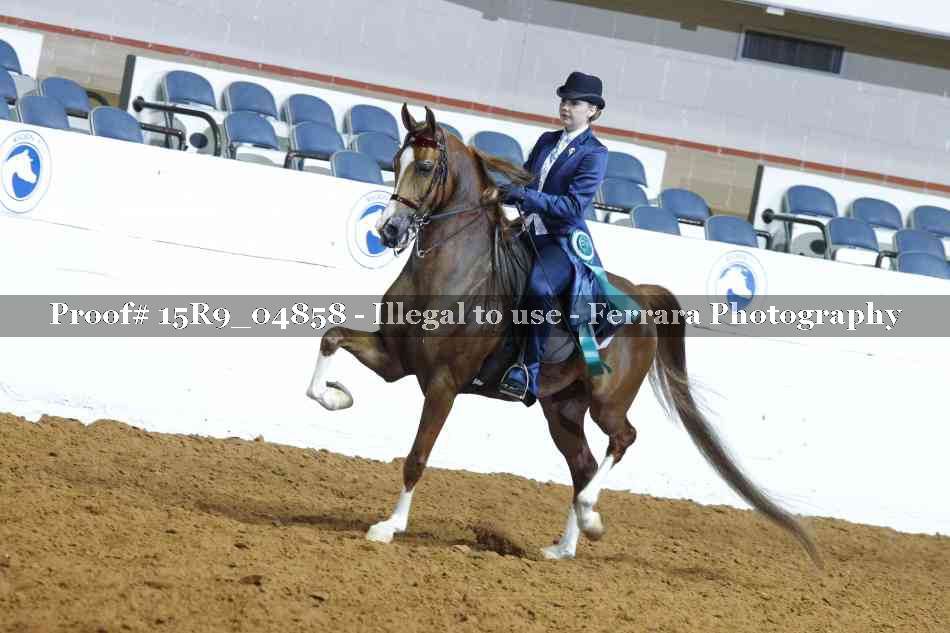 Proof 15R9_04858