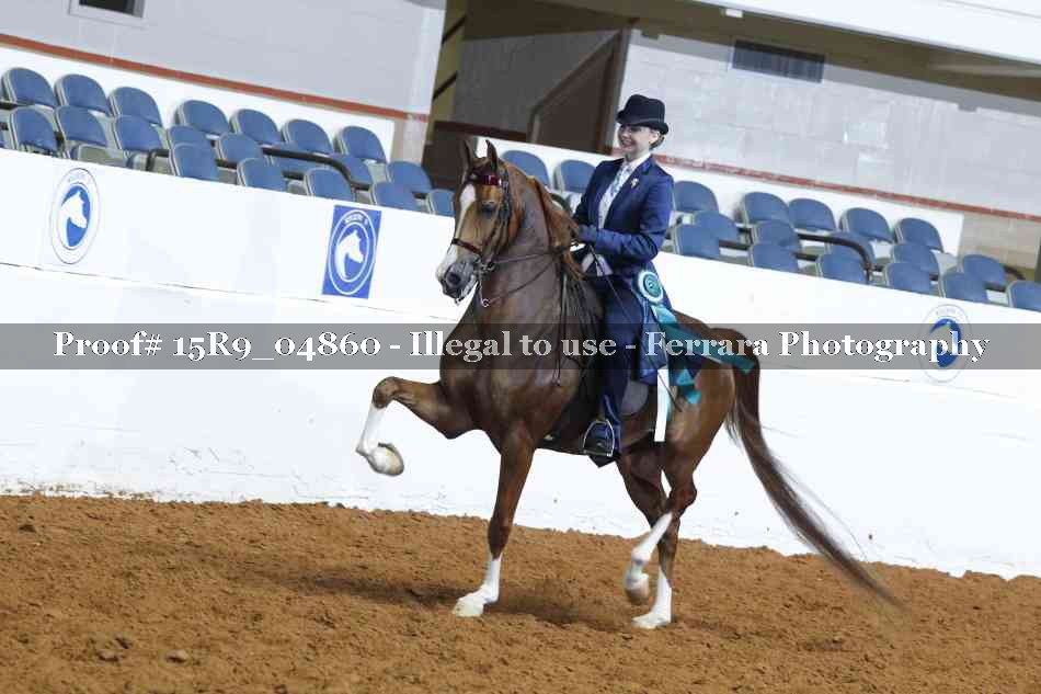 Proof 15R9_04860