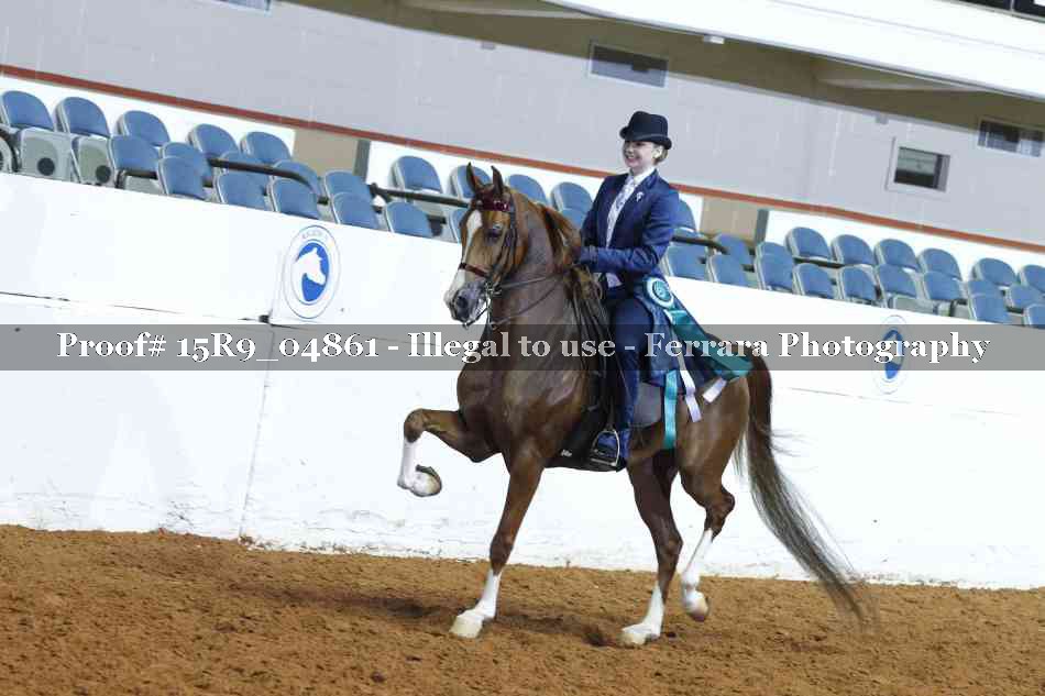 Proof 15R9_04861