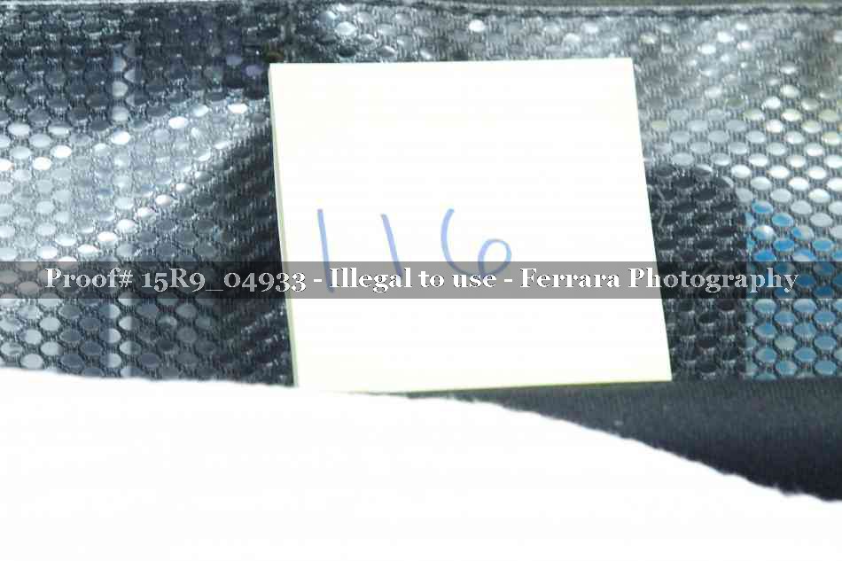 Proof 15R9_04933