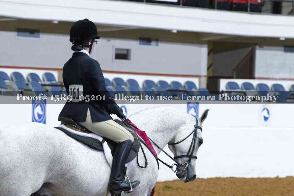 Proof 15R9_05201