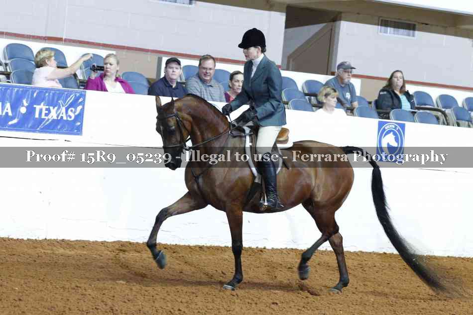 Proof 15R9_05239