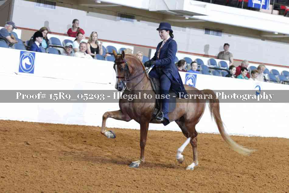 Proof 15R9_05293