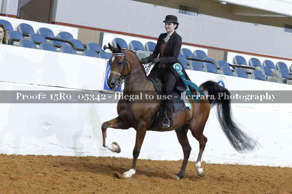 Proof 15R9_05342